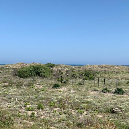 Mon Petit Paradis, Vue Sur Dunes Et Mer, Acces Direct Plage Robinson, Terrasse, Parking Prive, Tres Ressourcant, A Marseillan Plage מראה חיצוני תמונה