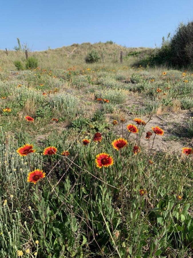 Mon Petit Paradis, Vue Sur Dunes Et Mer, Acces Direct Plage Robinson, Terrasse, Parking Prive, Tres Ressourcant, A Marseillan Plage מראה חיצוני תמונה