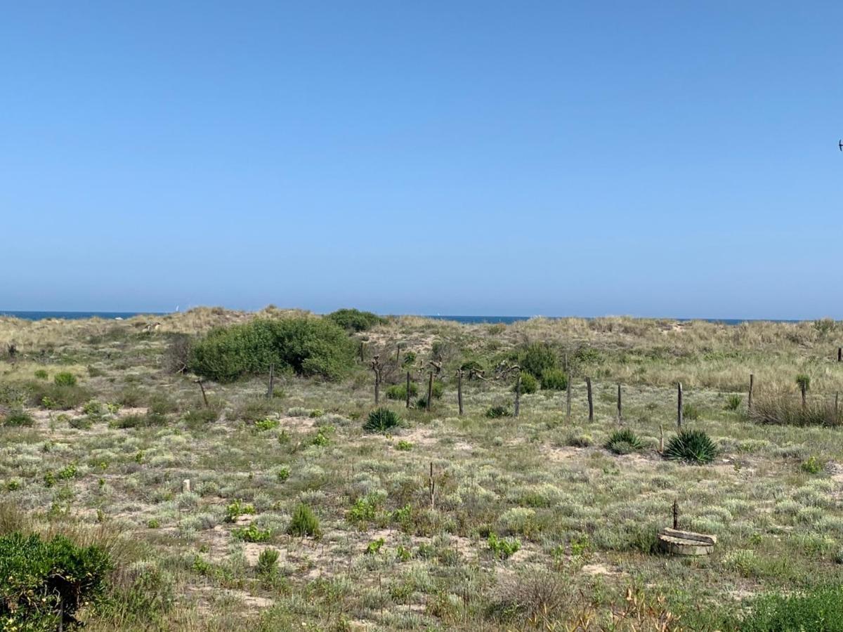 Mon Petit Paradis, Vue Sur Dunes Et Mer, Acces Direct Plage Robinson, Terrasse, Parking Prive, Tres Ressourcant, A Marseillan Plage מראה חיצוני תמונה
